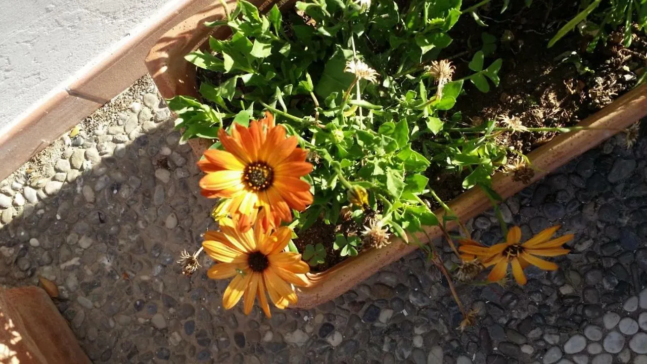 Apartment Appartamenti Sul Mare Avola Italy